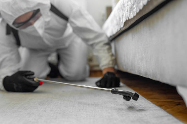 Professional Bed Bug Control technician working in Penobscot County County, ME